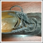 Litomereczki Zoltán