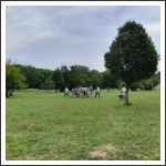 A pestvármegyei kadétzászlóalj 1. táborozása A pestvármegyei kadétzászlóalj 1. táborozása