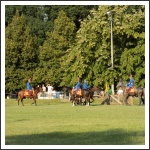 "Csupán a magyar kezében cseng a kard..." (forrás: papa-ma.hu)