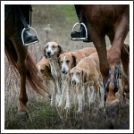 Radetzky Huszár Vadászlovaglás 2018 (fotó: Haga Zsuzsnna)