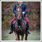 Radetzky Huszár Vadászlovaglás 2018 (fotó: Haga Zsuzsnna)