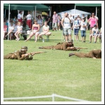 I. Katonai Hagyományőrző Fesztivál – Hadijátékok a történelem jegyében (fotó: Zentai Péter)