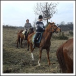 Beszámoló az 2017. évi Radetzky Akadémiáról