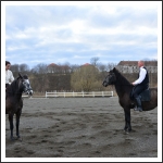 Art Equest (Fotó: Art Eques Facebook)