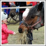 A Váci Huszár és Nemzetőr Bandérium márciusi programjai A Váci Huszár és Nemzetőr Bandérium márciusi programjai