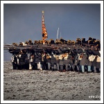 Austerlitz 2017 (fotó: Zbigniew Mikesz)