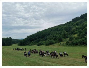 XIII. Görgei Emléktúra 