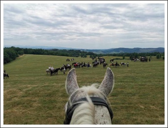 XIII. Görgei Emléktúra 