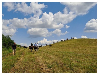 XIII. Görgei Emléktúra 