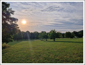 A pestvármegyei kadétzászlóalj 1. táborozása