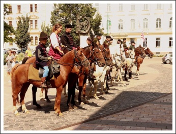 Beszámoló a „VÉRTES” Egyesület 2019-es évéről - Mohácsi zarándoklat